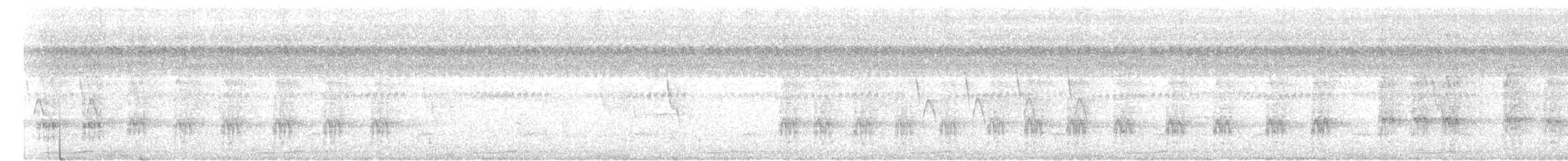 Little Cuckoo-Dove - ML623105783