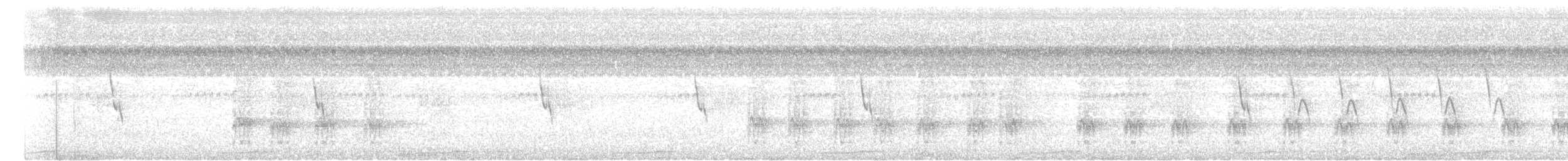 Little Cuckoo-Dove - ML623105786