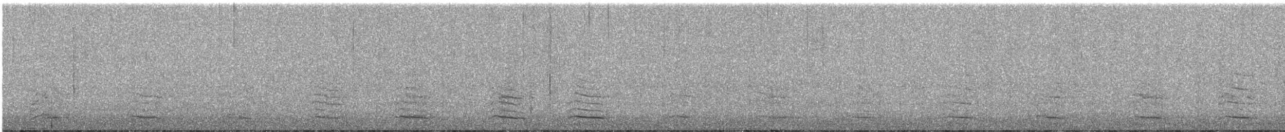 Larus sp. - ML623106116