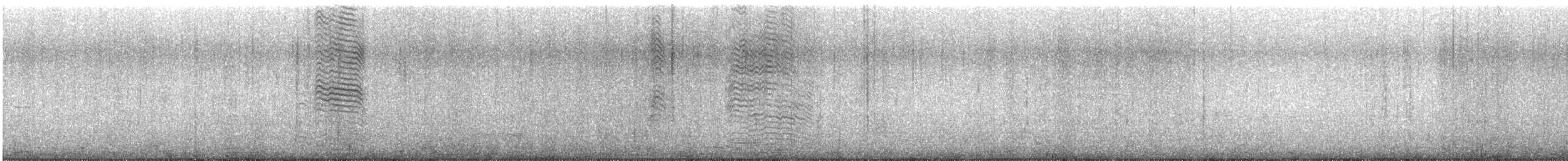 Great Shearwater - ML623109148