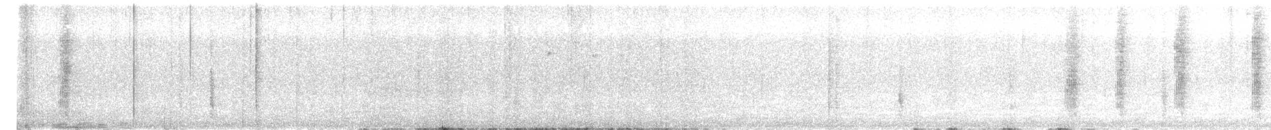 Long-billed Bernieria - ML623111955