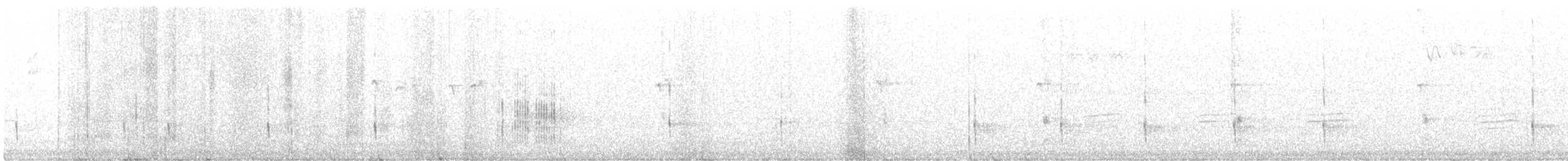 svartryggspett - ML623114291