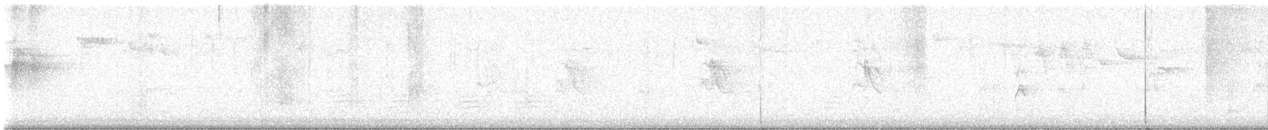 Cassin's Vireo - ML623117172