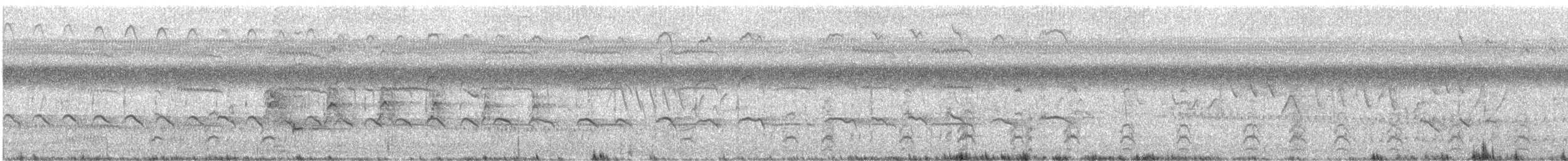 Schwarznacken-Stelzenläufer - ML623117225