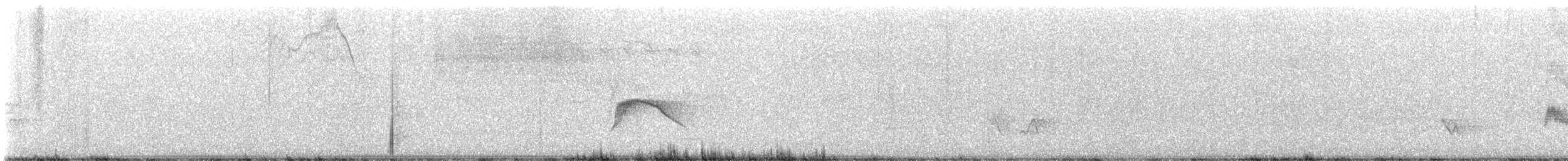 Caribbean Elaenia - ML623117938