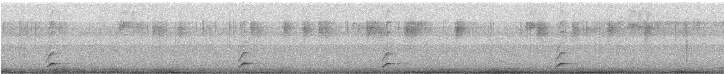 クロミオタテドリ - ML623119570