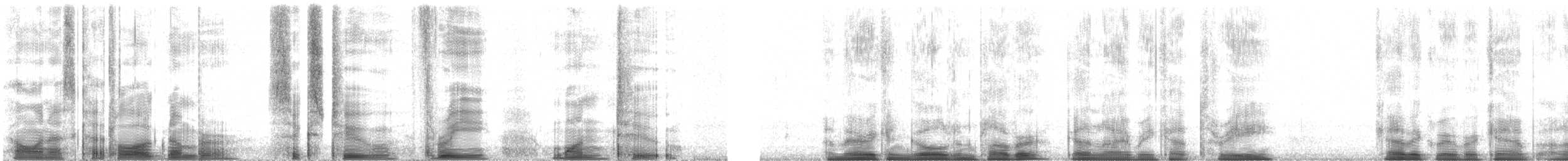 kulík hnědokřídlý - ML62312