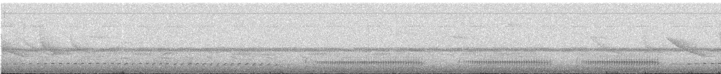 Stiles's Tapaculo - ML623120614