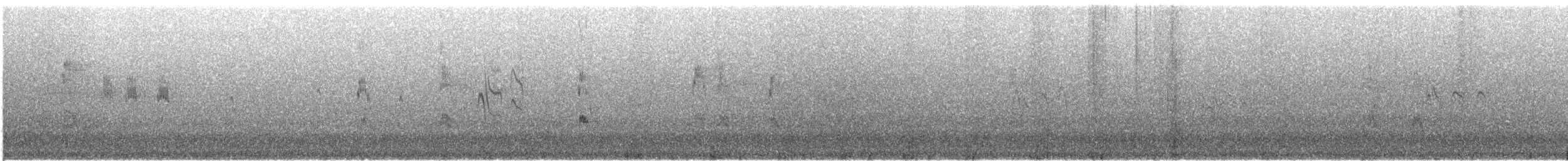 Red-cockaded Woodpecker - ML623122744