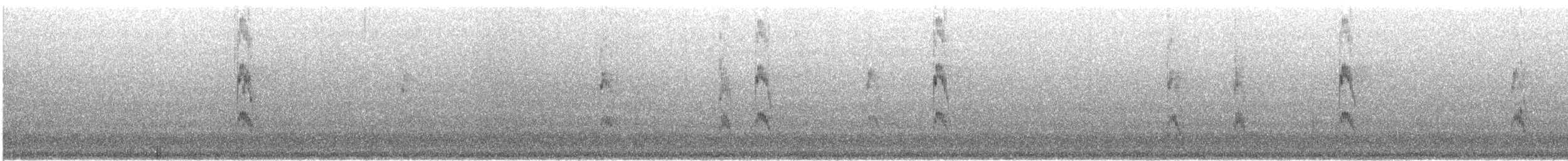 Red-cockaded Woodpecker - ML623122748