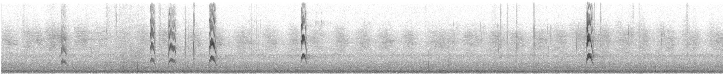 Red-cockaded Woodpecker - ML623122758