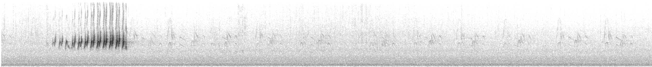 Pine Warbler - ML623122770