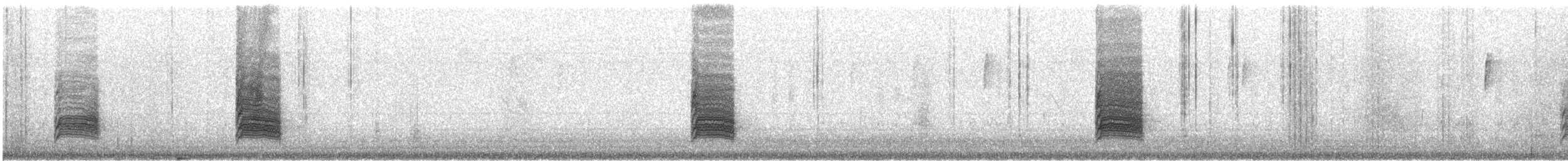 Bewick's Wren - ML623123878