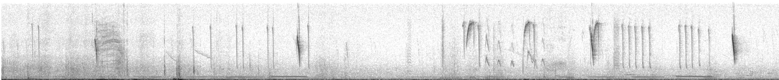 Colibri cora - ML623124172