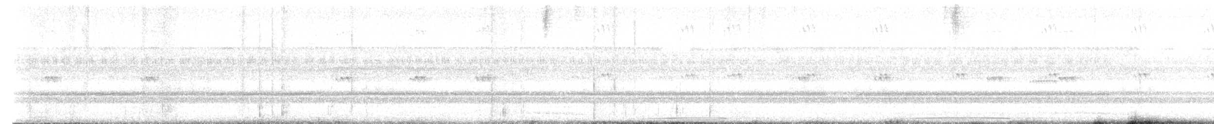 Eastern Screech-Owl - ML623124418