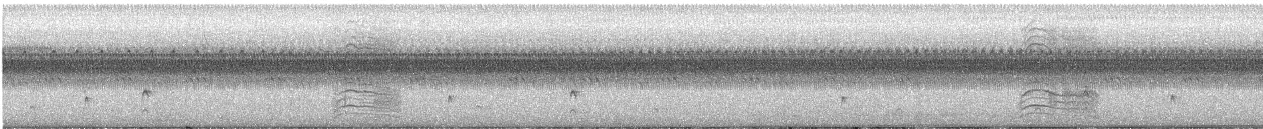 חטפית Empidonax בלתי-מזוהה - ML623125604