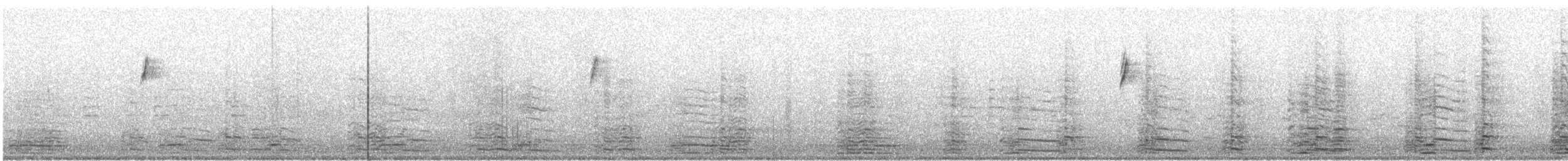 Yellow-rumped Warbler (Myrtle) - ML623125749