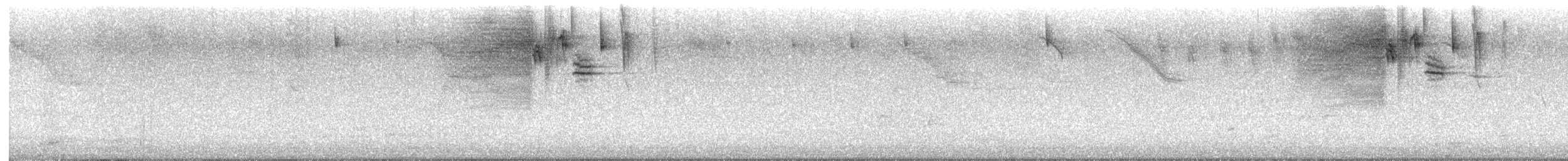 Bananaquit (Puerto Rico) - ML623130308