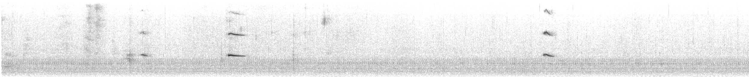 Laysan Albatross - ML623130630