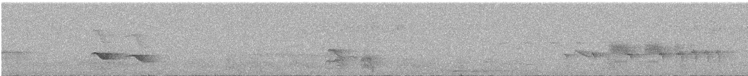 Ringed Antpipit - ML623136067