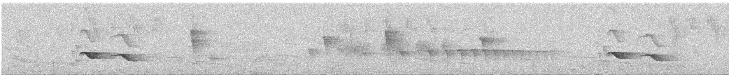 Ringed Antpipit - ML623136068