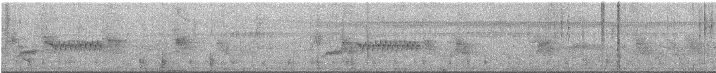 Troglodyte de Bewick - ML623140415