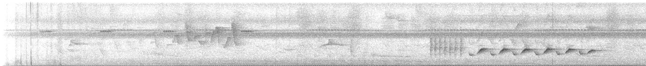 Long-billed Gnatwren - ML623143495