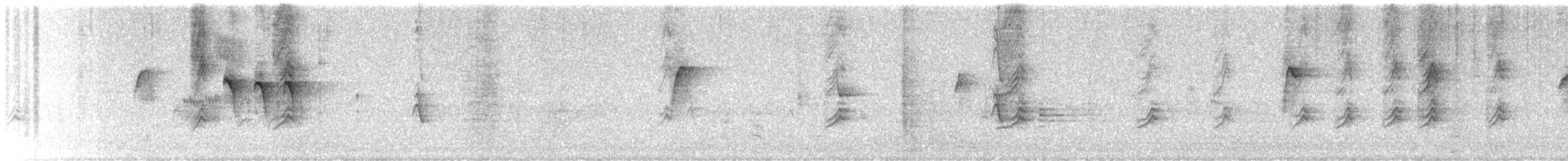 シロハラミソサザイ - ML623147860