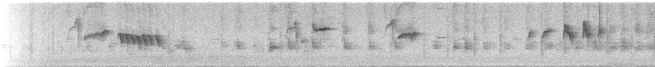 シロハラミソサザイ - ML623147952