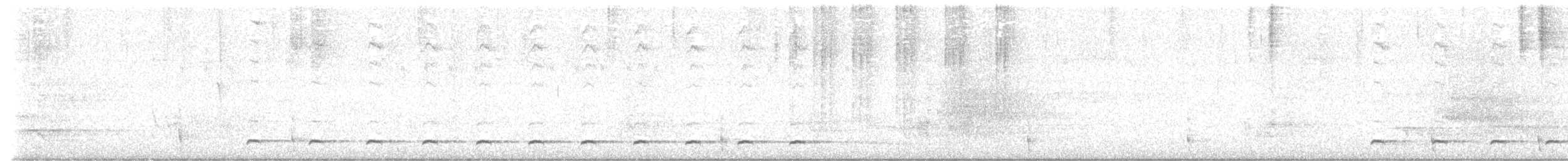 Colima Pygmy-Owl - ML623150529