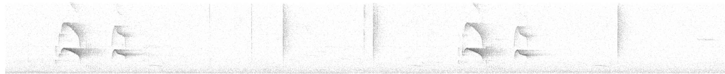 Ringed Antpipit - ML623154765