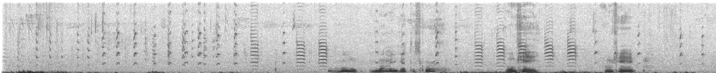 Red-breasted Nuthatch - ML623155821