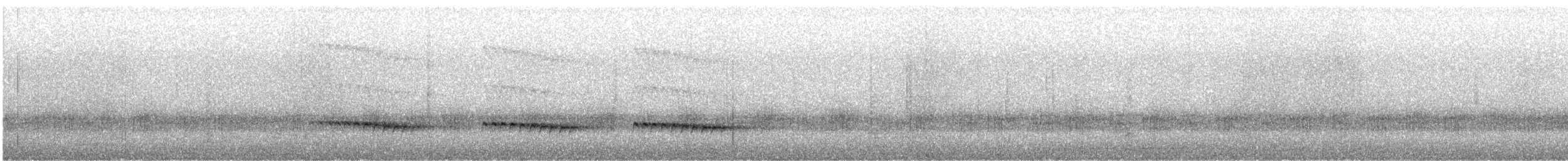 ウチワヒメカッコウ - ML623164135