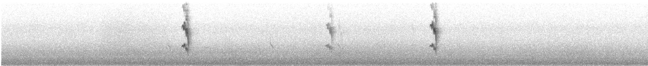 Méliphage fardé - ML623164812