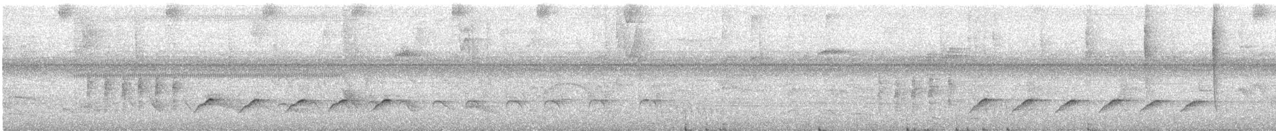 Long-billed Gnatwren - ML623174350