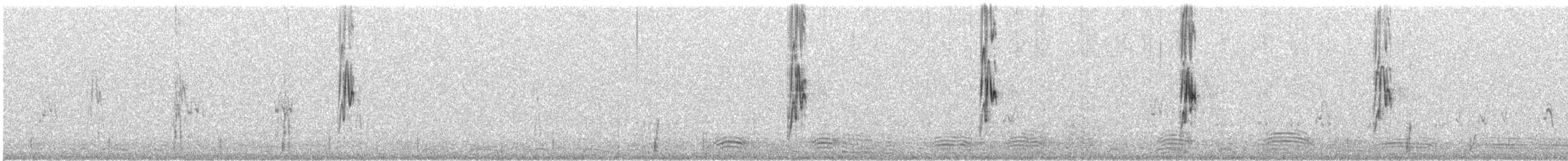 Australian Pipit - ML623175017