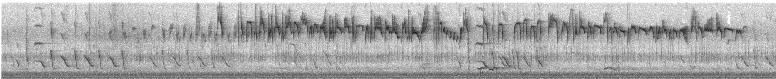 Southern Emuwren - ML623179993