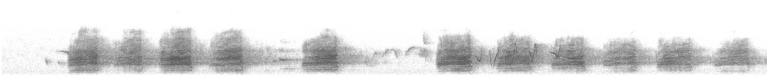 Sulphur-crested Cockatoo - ML623181041