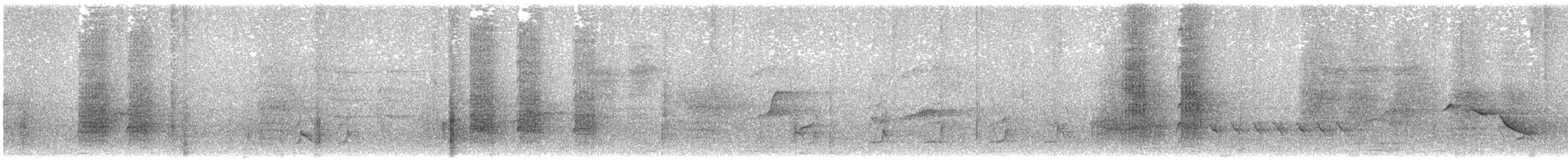 Téphrodorne bridé - ML623181608