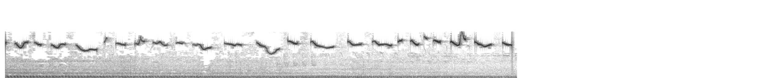 Salpornis tacheté - ML623188414