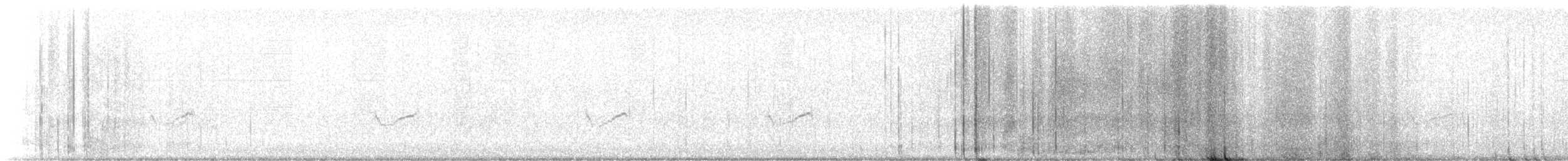 Semipalmated Plover - ML623189274