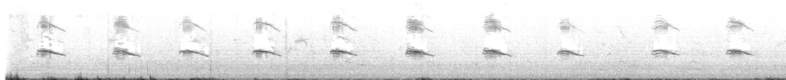 Hartlaub's Gull - ML623192037