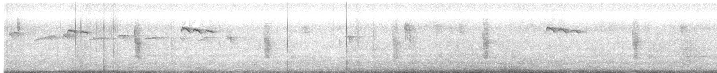 svarthodevever - ML623196809