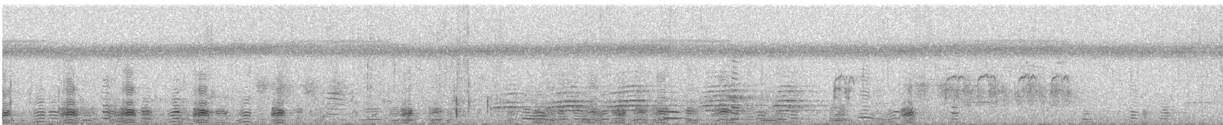 Magpie Goose - ML62319811