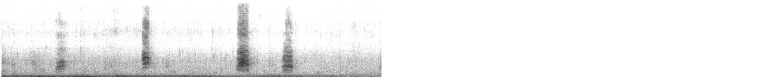 Yellow-crowned Night Heron - ML623207492