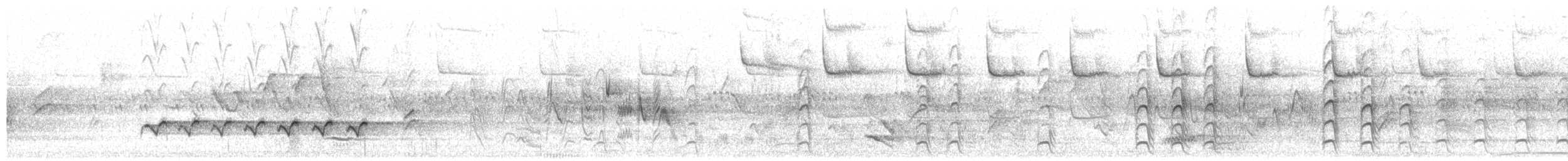 Juniper Titmouse - ML623208274