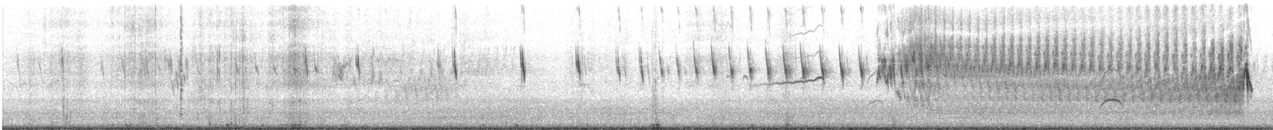 Peruvian Pipit - ML623213771