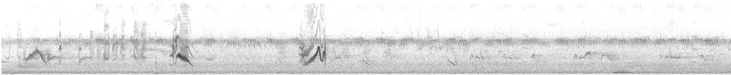 Plumbeous Vireo - ML623217025