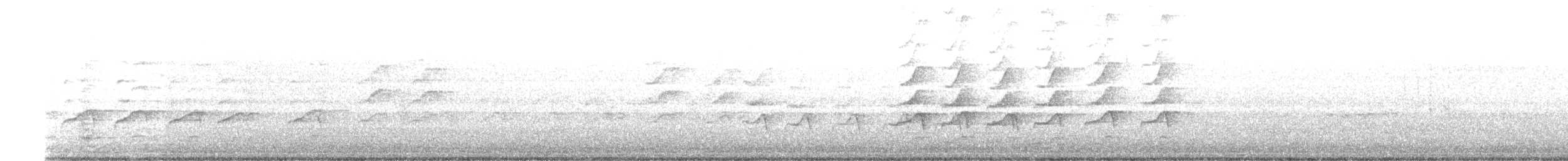 Noisy Miner - ML623219231