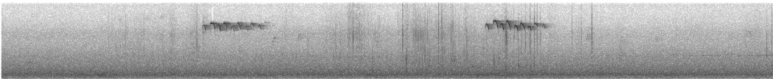 Southern Emuwren - ML623219962